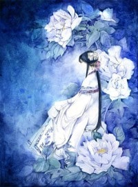 时光倾城之梨花带雨