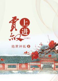 （BG/红楼同人）红楼之上进贾赦